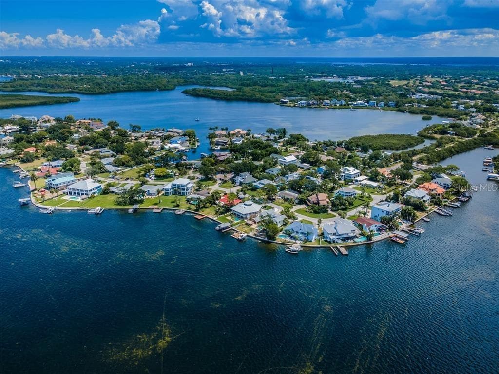 134 CARLYLE DRIVE PALM HARBOR, FL 34683