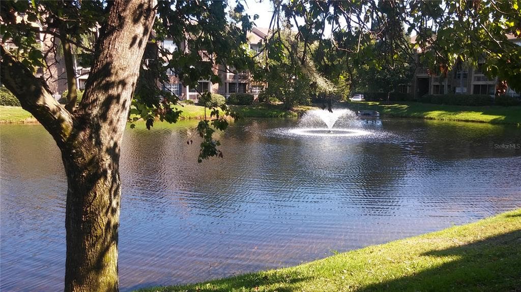 10200 GANDY BOULEVARD N UNIT 1007