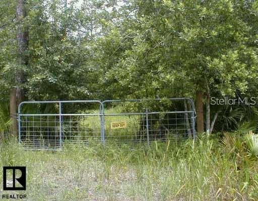 0 N LUTZ LAKE FERN ROAD ODESSA, FL 33556