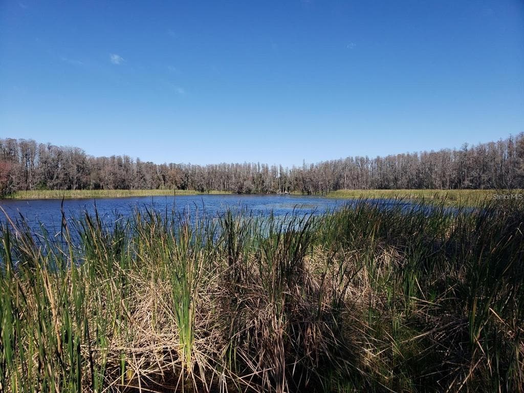 0 COBB ROAD LAND O LAKES, FL 34638