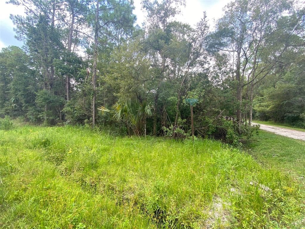 6701 NE 137TH PLACE CITRA, FL 32113