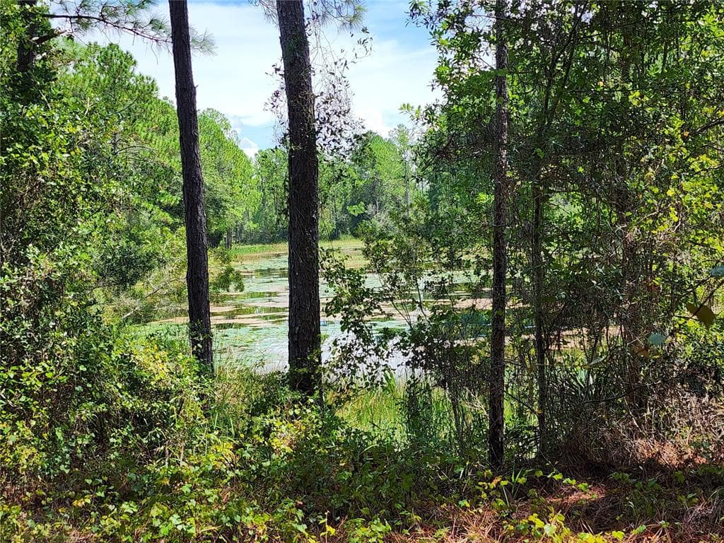 34210 BERRYHILL DRIVE WEBSTER, FL 33597