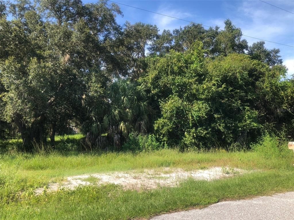 9205 SW LIVERPOOL ROAD ARCADIA, FL 34269