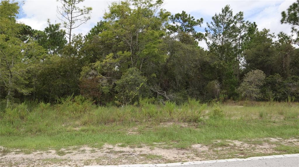 8061 MADRID ROAD WEEKI WACHEE, FL 34613