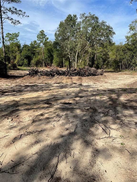 TBD NE 125TH STREET ARCHER, FL 32618