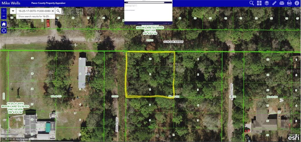 FRAN STREET NEW PORT RICHEY, FL 34654