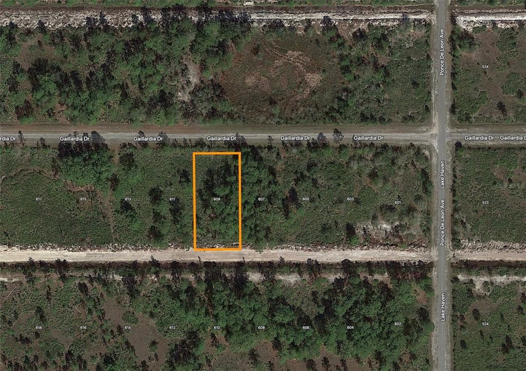609 GAILLARDIA DRIVE INDIAN LAKE ESTATES, FL 33855