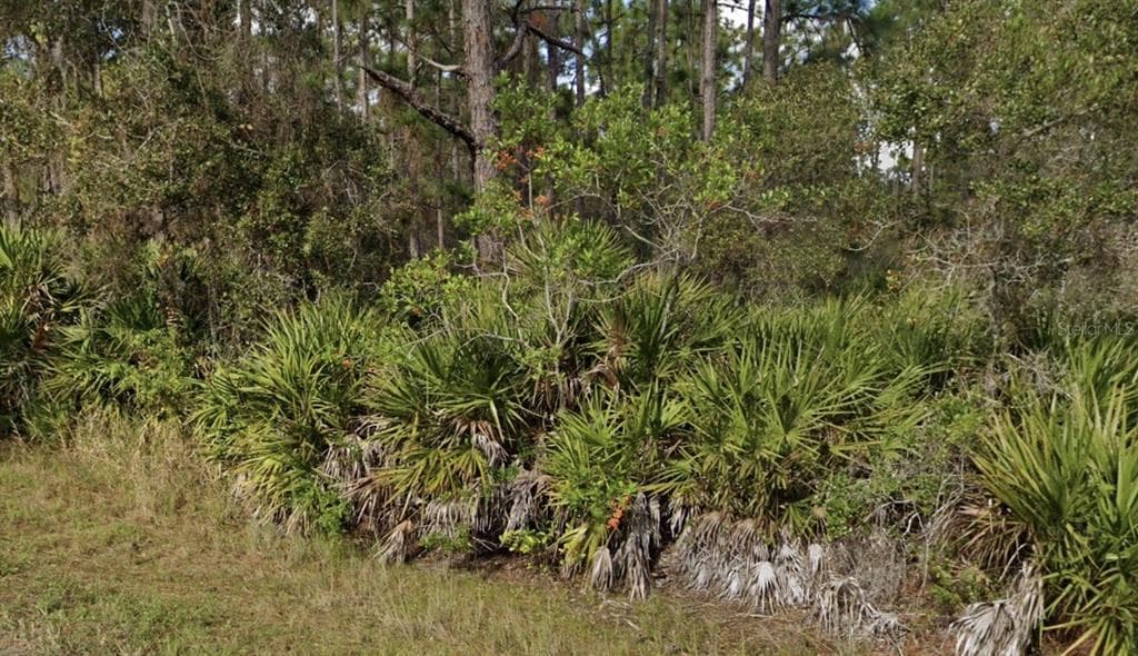 EL DORADO DRIVE INDIAN LAKE ESTATES, FL 33855