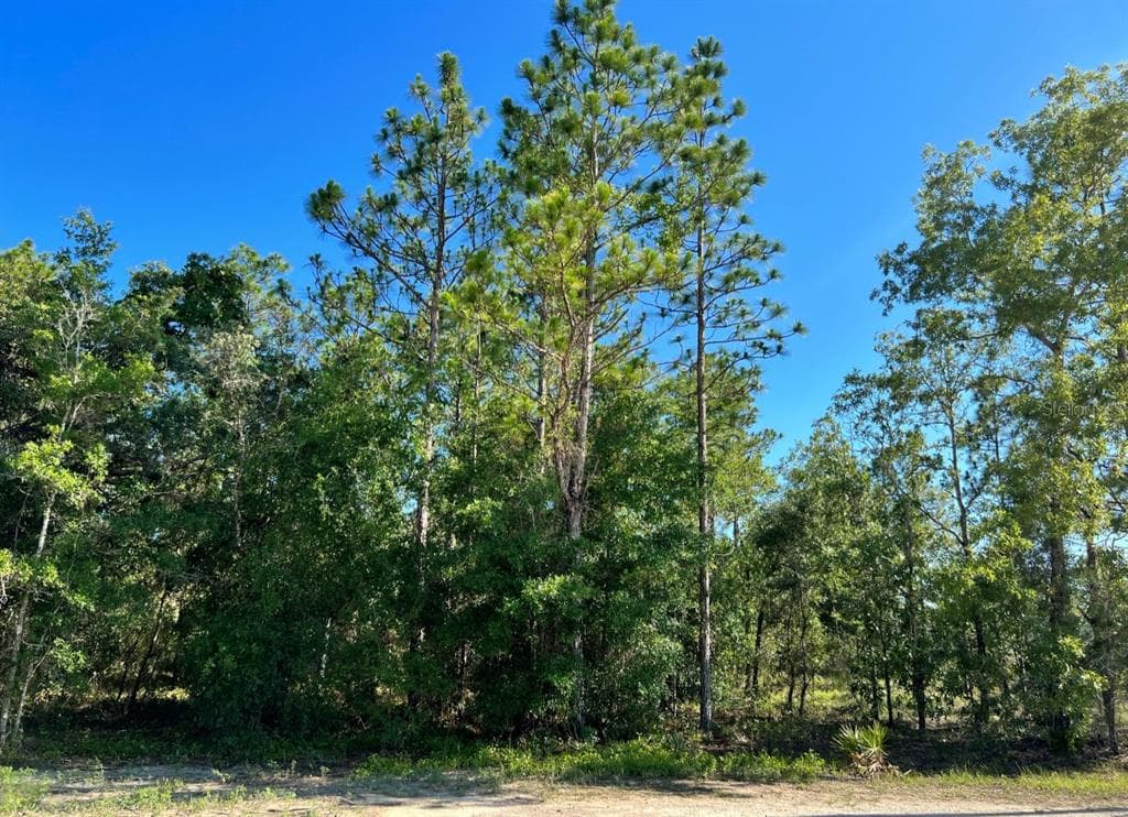 13422 RAIN OWL AVENUE WEEKI WACHEE, FL 34614