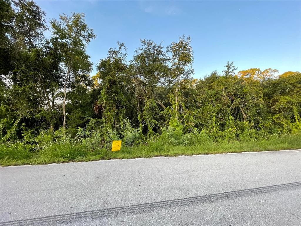 HILLSIDE DRIVE DELAND, FL 32720