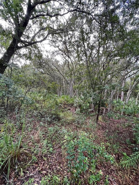 36076 OVERCUP DRIVE WEBSTER, FL 33597