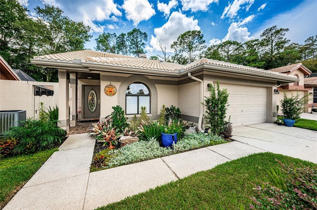 3624 DARSTON STREET PALM HARBOR, FL 34685