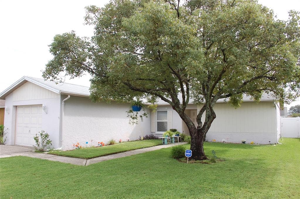 1007 LOCHMONT DRIVE BRANDON, FL 33511