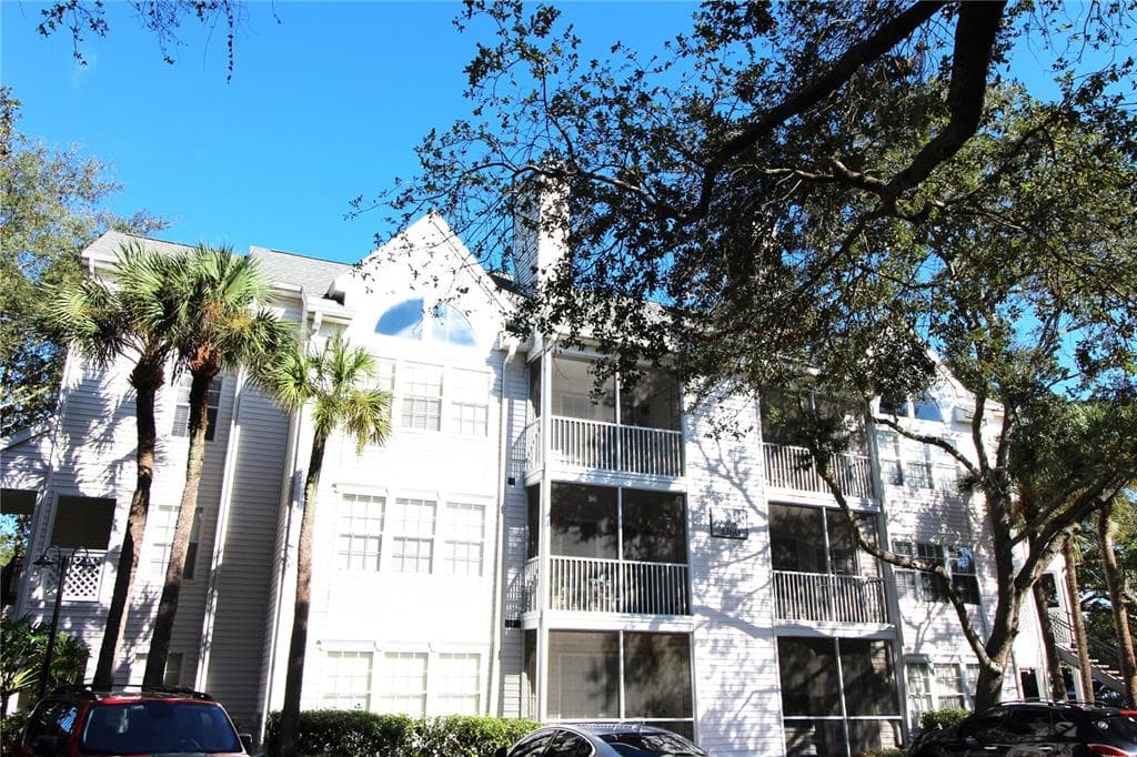 3260 HAVILAND COURT UNIT 204 PALM HARBOR, FL 34684