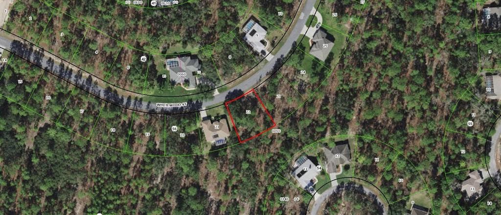 49 WHITEWOOD STREET HOMOSASSA, FL 34446