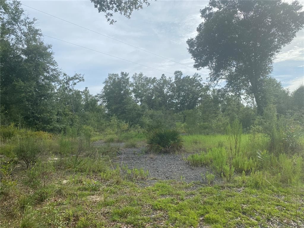 20209 FETTINGER ROAD FOUNTAIN, FL 32438
