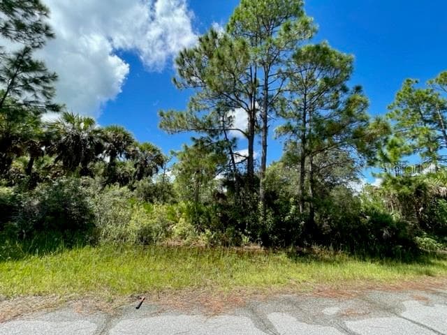 3191 DWYER STREET PORT CHARLOTTE, FL 33981