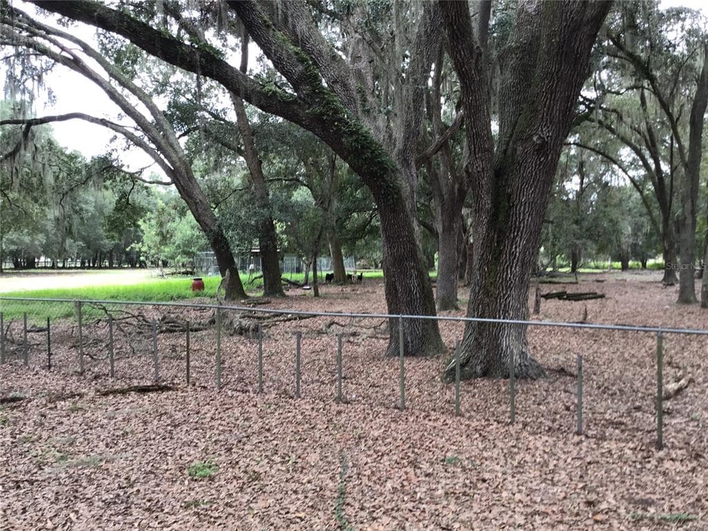 2721 WALLACE BRANCH ROAD PLANT CITY, FL 33565