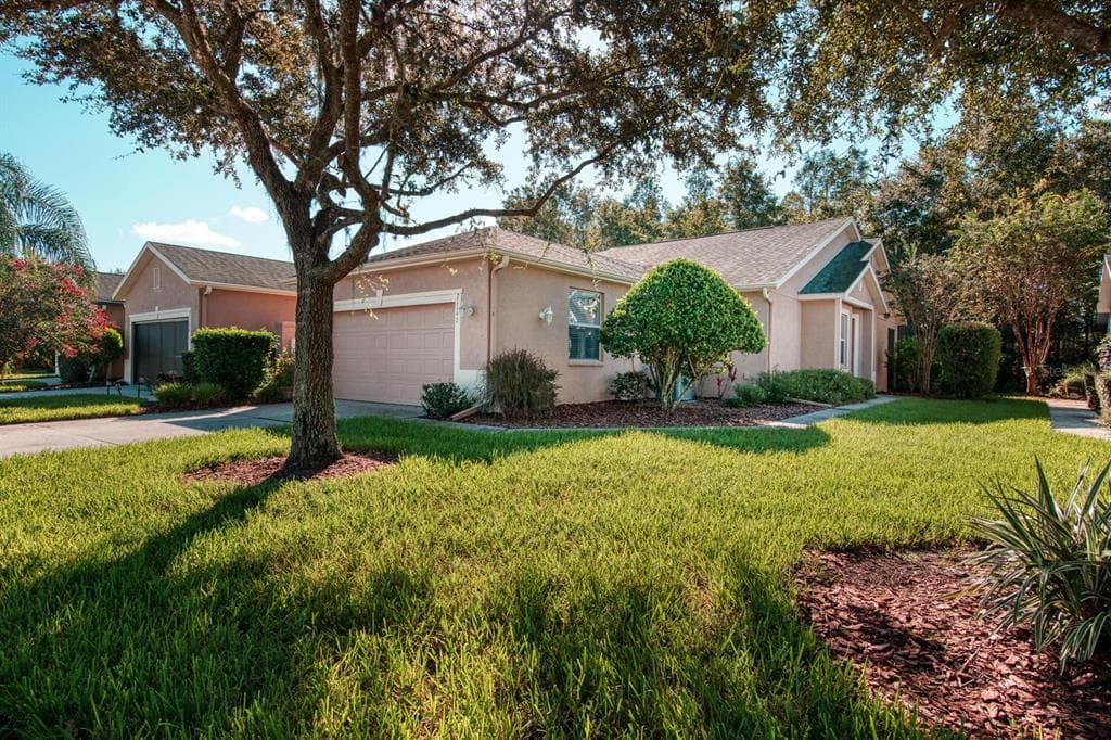 21142 DIAMONTE DRIVE LAND O LAKES, FL 34637