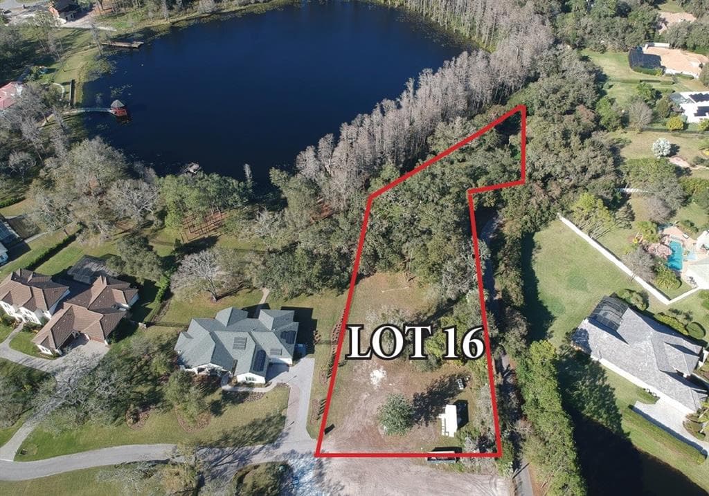 16115 CARENCIA LANE ODESSA, FL 33556