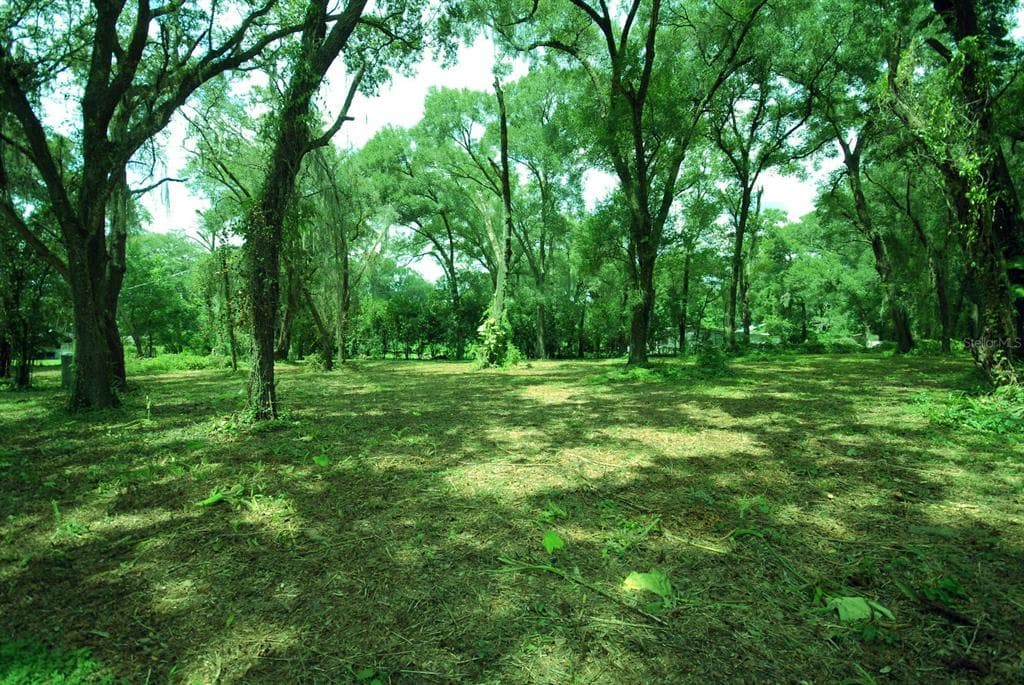 5217 PINE STREET SEFFNER, FL 33584