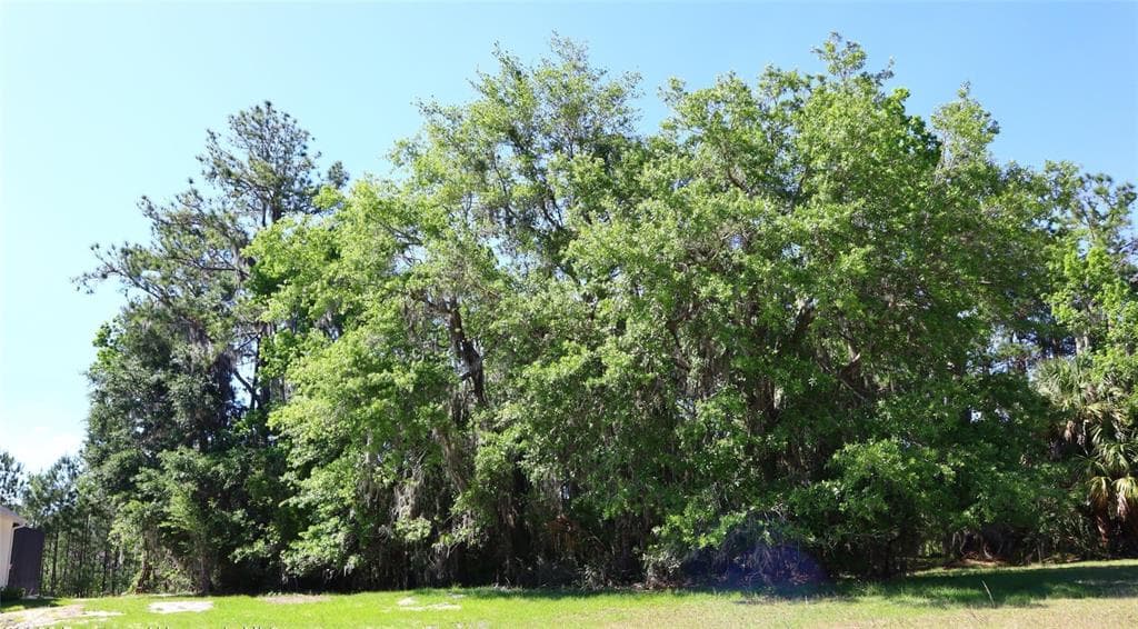 19533 SHELTERED HILL DRIVE BROOKSVILLE, FL 34601