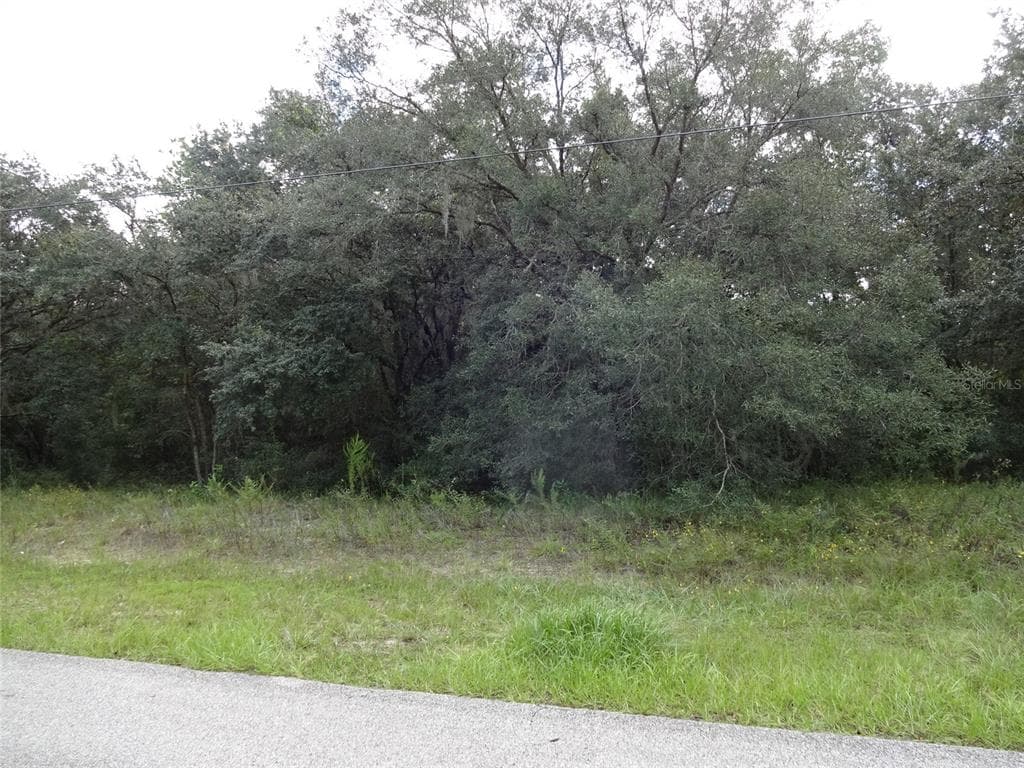 289 N HIGHVIEW AVENUE HERNANDO, FL 34442