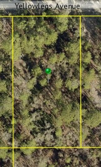 . YELLOWLEGS AVENUE WEEKI WACHEE, FL 34614
