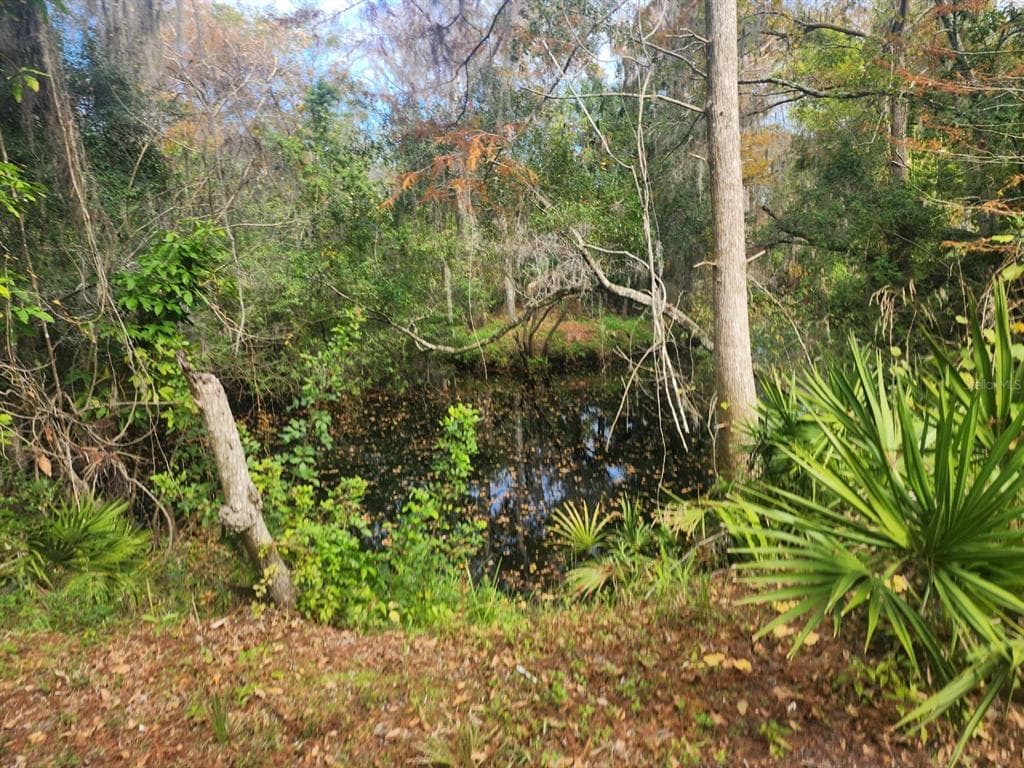3615 ELFERS PARKWAY NEW PORT RICHEY, FL 34655