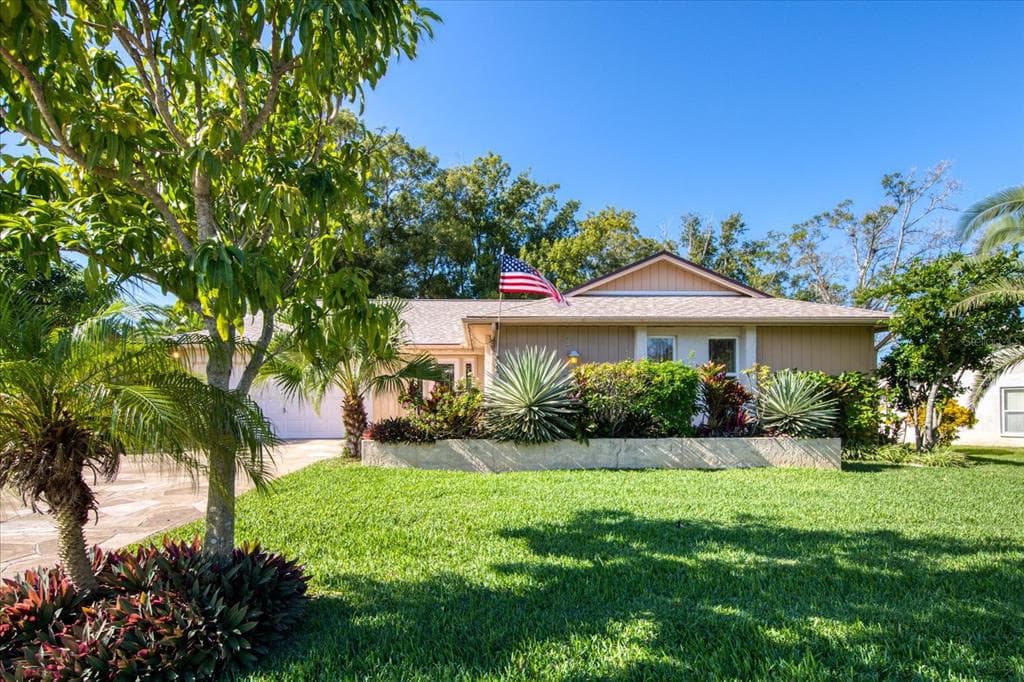 3374 E DORCHESTER DRIVE PALM HARBOR, FL 34684