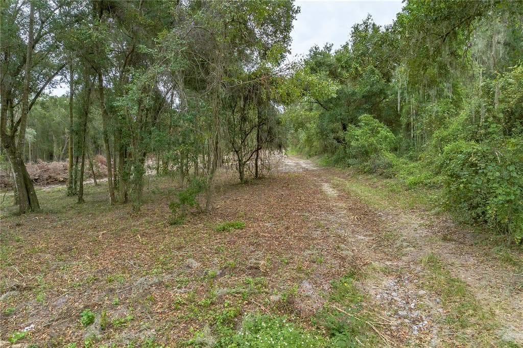 0 CEDAR TREE DRIVE BROOKSVILLE, FL 34602