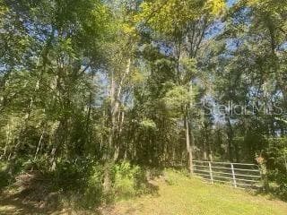 UNASSIGNED WEBSTER, FL 33597