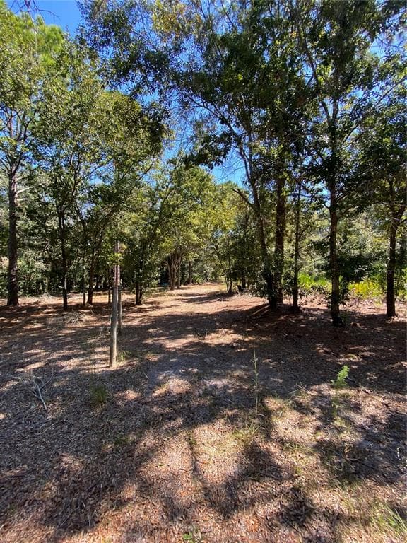 11991 W FLAXEN DRIVE CRYSTAL RIVER, FL 34428