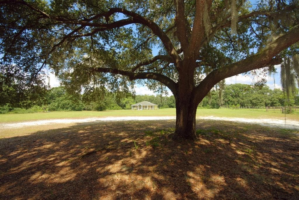 1712 WELCOME ROAD LITHIA, FL 33547