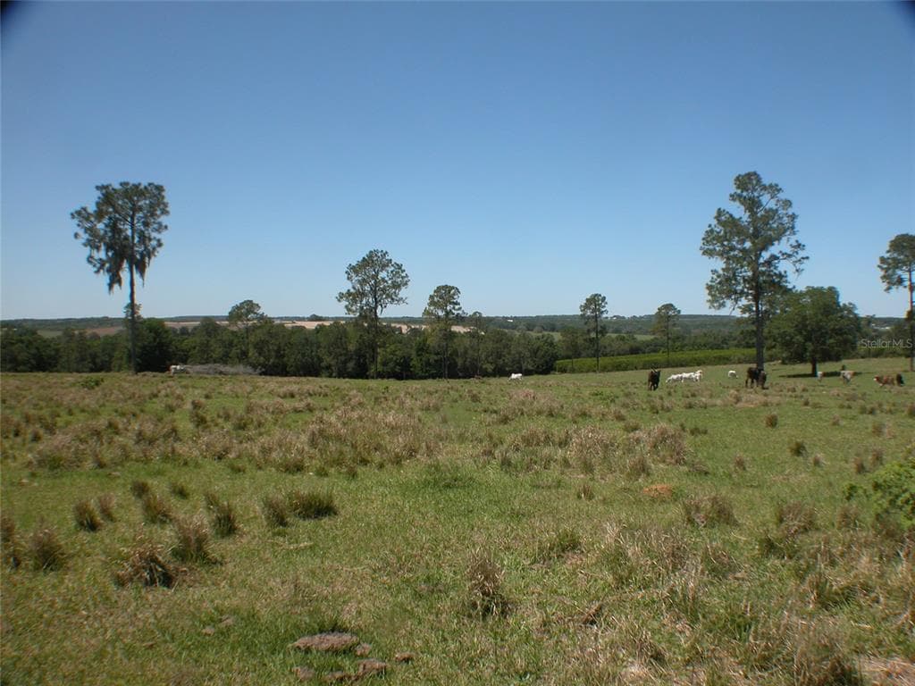 35338 PLATT ROAD DADE CITY, FL 33523