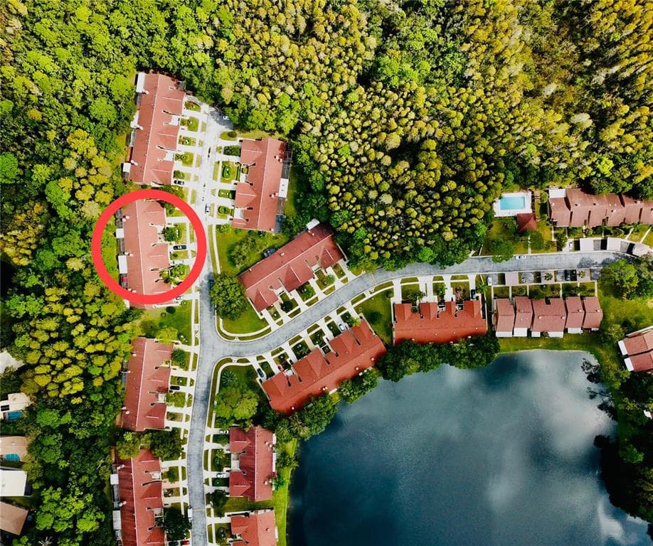 4031 MERMOOR COURT PALM HARBOR, FL 34685