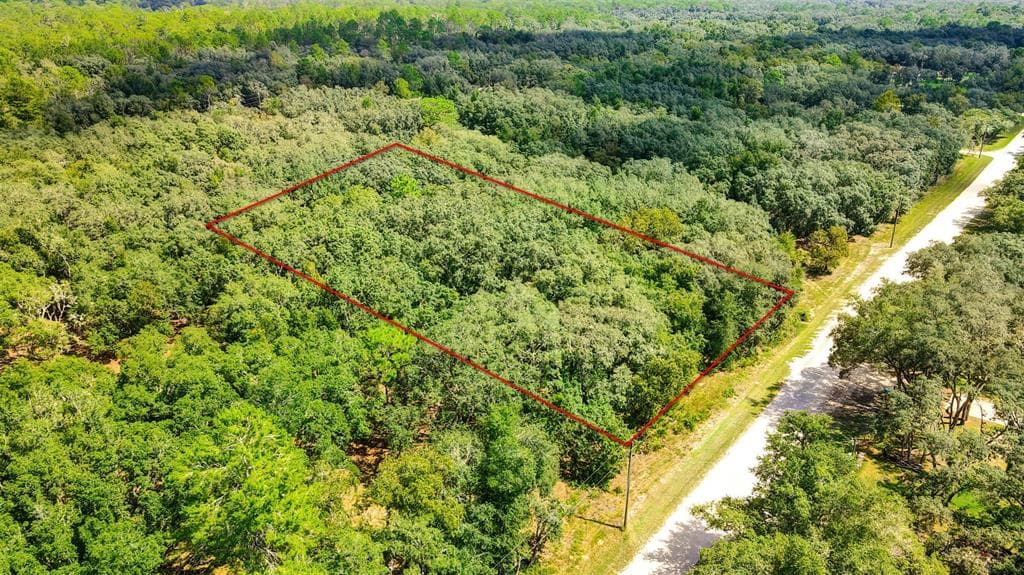 33175 FACULTY STREET WEBSTER, FL 33597