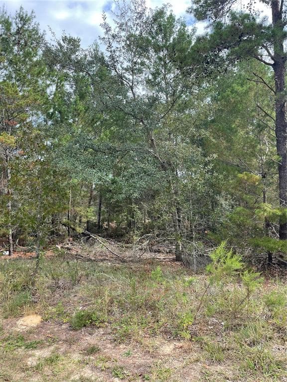 57 GRASS STREET HOMOSASSA, FL 34446