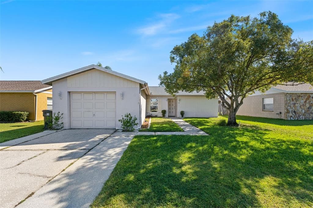 1007 LOCHMONT DRIVE BRANDON, FL 33511