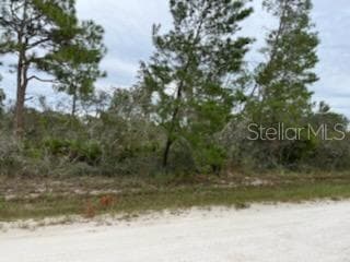 4372 MERCEDES STREET SEBRING, FL 33872