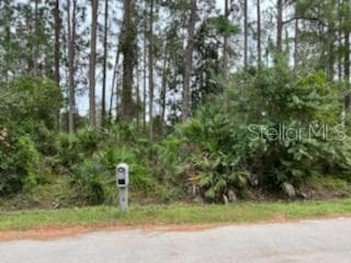 406 ASTON-MARTIN DRIVE SEBRING, FL 33872