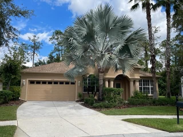 27201 FIREBUSH DRIVE WESLEY CHAPEL, FL 33544