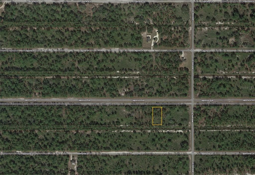 1107 JAPONICA AVENUE INDIAN LAKE ESTATES, FL 33855