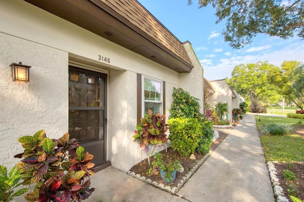 3146 HIGHLANDS BOULEVARD PALM HARBOR, FL 34684