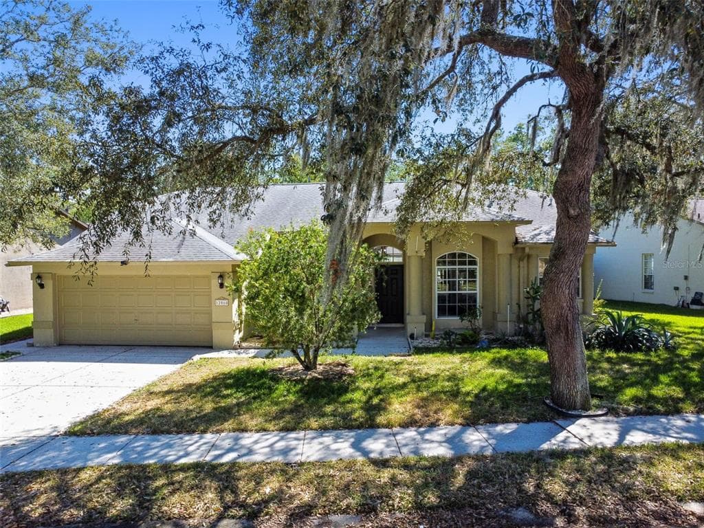 12060 ROSELAND DRIVE NEW PORT RICHEY, FL 34654
