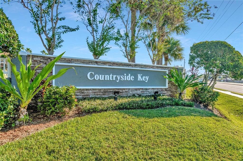 246 COUNTRYSIDE KEY BLVD OLDSMAR, FL 34677