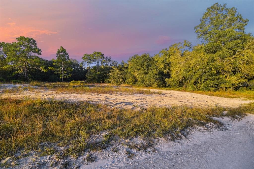 CLEFT ROCK STREET WEBSTER, FL 33597