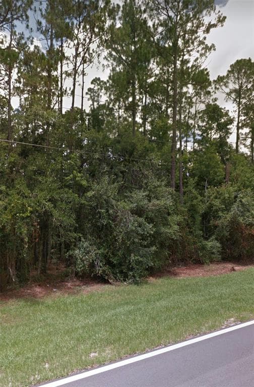 1802 COUNTY ROAD 305 BUNNELL, FL 32110