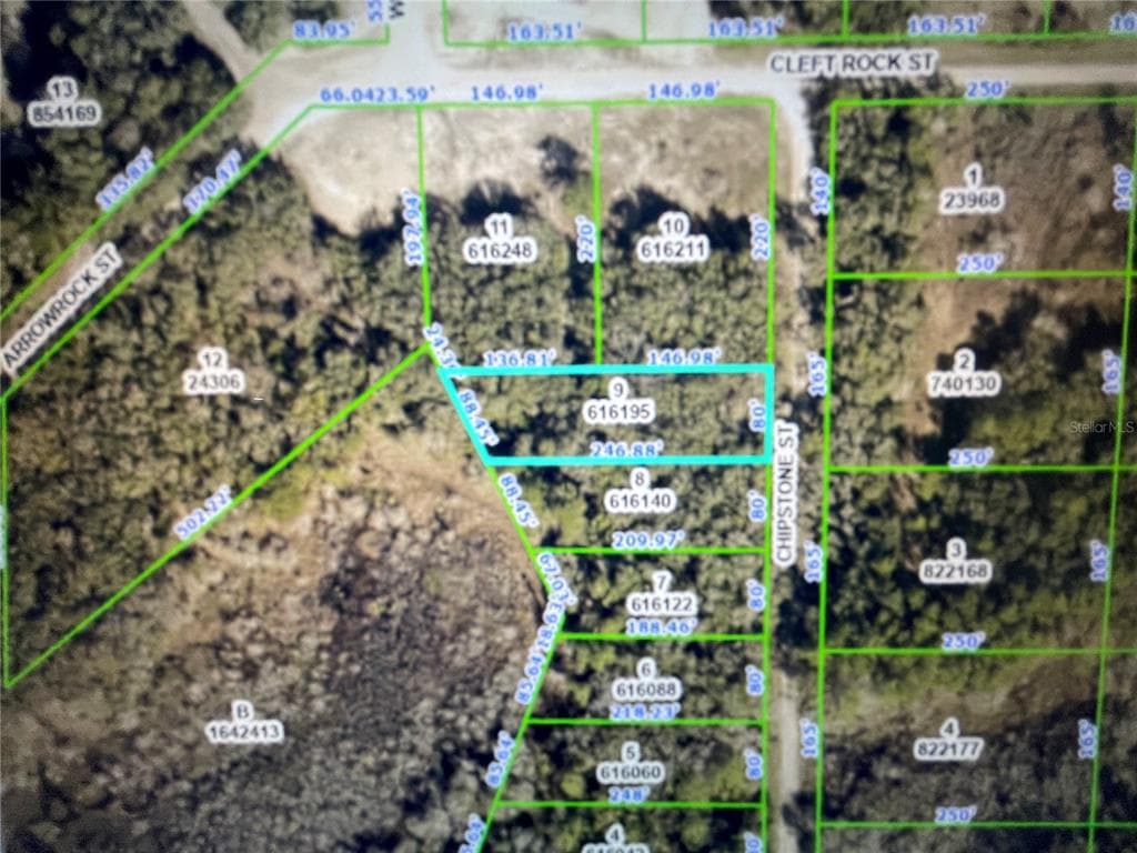 CHIPSTONE STREET WEBSTER, FL 33597