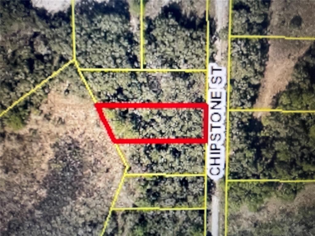 CHIPSTONE STREET WEBSTER, FL 33597